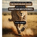 Cover: The Marvelous Dash - IngramSpark