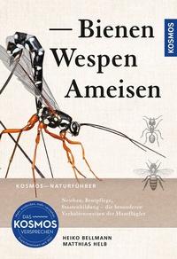 Abbildung von: Bienen, Wespen, Ameisen - Kosmos