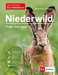 Abbildung von: Das große BLV Handbuch Niederwild - BLV
