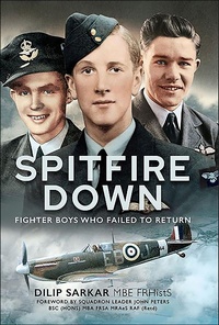Abbildung von: Spitfire Down - Air World