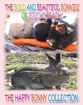 Cover: The Bold and Beautiful Bunnies of Jericho Beach - Annie and Rowena