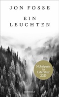 Cover: Ein Leuchten - Rowohlt