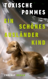 Abbildung von: Ein schönes Ausländerkind - Zsolnay