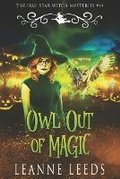 Cover: Owl Out of Magic - Badchen Publishing