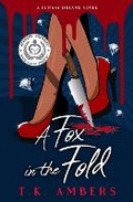 Cover: Runway Dreams A Fox in the Fold - Star Spirit Adventures