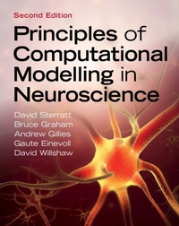 Abbildung von: Principles of Computational Modelling in Neuroscience - Cambridge University Press