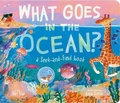 Cover: What Goes in the Ocean? - Little Simon