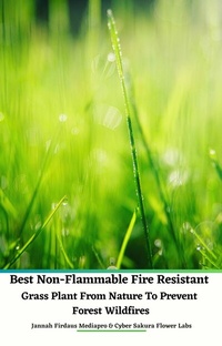 Abbildung von: Best Non-Flammable Fire Resistant Grass Plant From Nature to Prevent Forest Wildfires - Jannah Firdaus Mediapro Studio