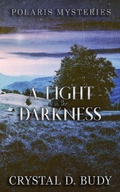 Cover: A Light in the Darkness (Polaris Mysteries, #1) - Wicked Dreamer Press