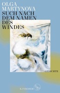 Cover: Such nach dem Namen des Windes - S. Fischer