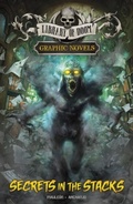 Cover: Secrets in the Stacks - Raintree