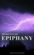 Cover: Moments Of Epiphany - Prominent Books LLC