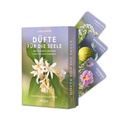 Cover: D&uuml;fte f&uuml;r die Seele - Ullstein Allegria