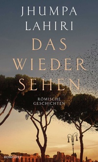 Abbildung von: Das Wiedersehen - Rowohlt