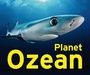 Bild: Planet Ozean - Klartext