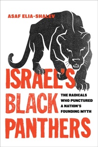 Bild: Israel's Black Panthers - Naval Institute Press