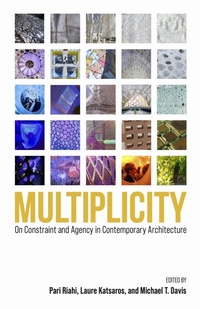Enlarge image Cover: Multiplicity - University of Massachusetts Press