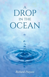 Enlarge image Cover: A Drop in the Ocean - Gatekeeper Press