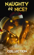 Cover: Naughty or Nice? - Entwined Publishing