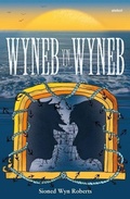 Cover: Wyneb yn Wyneb - Atebol