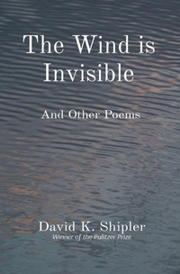 Enlarge image Cover: The Wind is Invisible - Stone Lantern Books