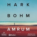 Cover: Amrum - H&ouml;rbuch Hamburg