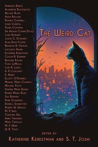 Enlarge image Cover: The Weird Cat - WordCrafts Press