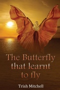 Cover: The Butterfly that learnt to fly - PN Books