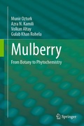 Cover: Mulberry - Springer