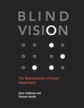 Cover: Blind Vision - MIT Press