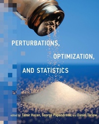 Enlarge image Cover: Perturbations, Optimization, and Statistics - MIT Press