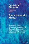 Cover: Black Networks Matter - Cambridge University Press