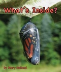 Cover: What's Inside? - Arbordale Publishing, LLC