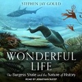 Cover: Wonderful Life - Tantor Audio
