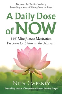 Enlarge image Cover: A Daily Dose of Now - Mind, Mood, and Movement