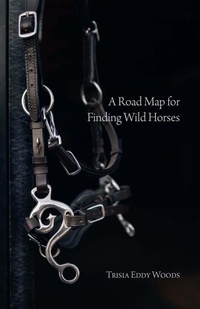 Abbildung von: A Road Map for Finding Wild Horses - Turnstone Press