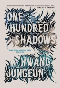 Abbildung von: One Hundred Shadows - Erewhon Books