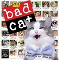 Cover: Bad Cat Wall Calendar 2025 - Workman Calenders