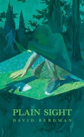Cover: Plain Sight - Passager Books