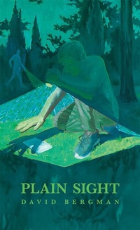 Enlarge image Cover: Plain Sight - Passager Books