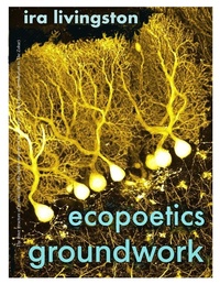 Enlarge image Cover: Ecopoetics Groundwork - ebookpartnership.com