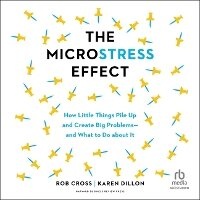 Enlarge image Cover: The Microstress Effect - Ascent Audio