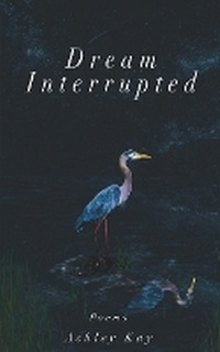 Abbildung von: Dream Interrupted - Ashley Kuhn