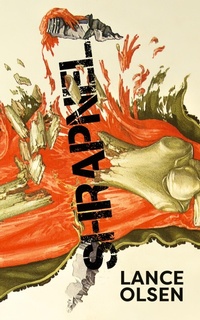 Enlarge image Cover: Shrapnel - Anti-Oedipus Press