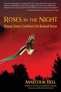 Enlarge image Cover: Roses in the Night - Fresh Look Press