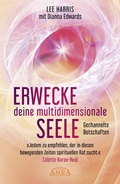 Cover: ERWECKE DEINE MULTIDIMENSIONALE SEELE: Botschaften aus der 9. Dimension - AMRA Verlag
