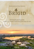 Cover: Brigid - Aurum