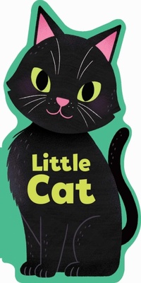 Enlarge image Cover: Little Cat - Silver Dolphin Books