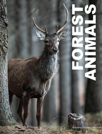 Enlarge image Cover: Forest Animals - Amber Books
