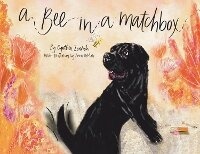 Enlarge image Cover: A Bee in a Matchbox - Nightingale Books